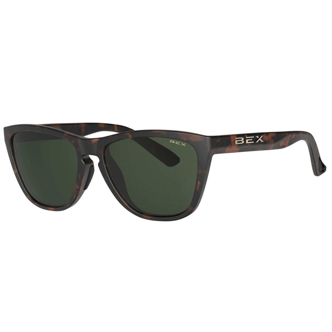 #color_tortoise-brown-forest